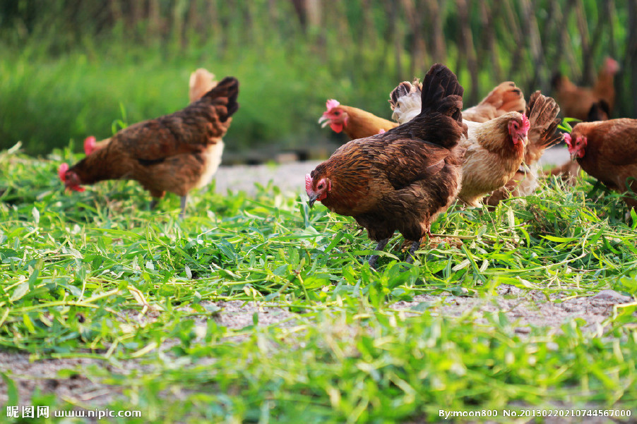 近期晝夜溫差較大，慢性呼吸道又開始猖獗了！
